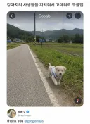 구글맵의 섬세한 배려