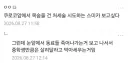 블루아카) 신캐 나올때마다 쿠로코 음해가 따라오는 이유