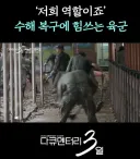 폭우로 난리났던 거제 근황.jpg