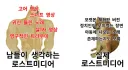 로스트미디어의 진실