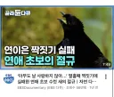 연애 초보의 절규.jpg