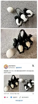 흰 달걀을 사야 완성되는 달걀 트레이