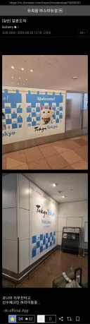 유희왕) 마듀 월챔 국대 근황