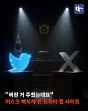 일론머스크 빡치게 한 짭사이트.JPG