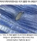 악어가죽이라면서요 이거 불량 아니에요?