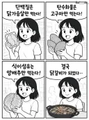 다이어트 식단 방법