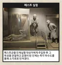 이걸 보고도 일뽕이 차나요?