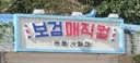 그 어려운걸 드디어 해냈다는 박보검 근황 (보검 매직컬 시즌 2 스포)