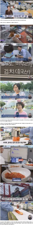中포름알데히드 배추파문,중국산 김치 불안으로‥"국내유통 82개 제품모두 불검출"