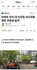 아파트 단지서 사다리차깔린 초등학생 숨졌다네요.