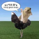 결착,성향,서양무기 세상엔사라져야할것들이많습니다.