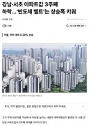 부동산) 시작됐네요. 강남 집값 3주째 폭락.JPG