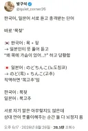 한국과 일본이 충격받는 단어