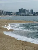 주문진 근처 영진에서 바다 멍~~ 때리고 있습니다.