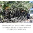 고 장미란씨 자살이라면 순교적 행위말곤 설명안돼