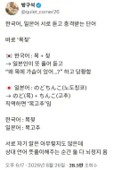 한국인, 일본인이 서로 뜻을 보고 경악하는 단어