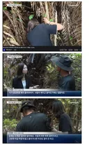 야자수 농장 사장님