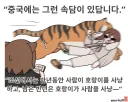 토끼조선)중국에는 그런 속담이 있습니다 조선에서는 ㅂ..어?