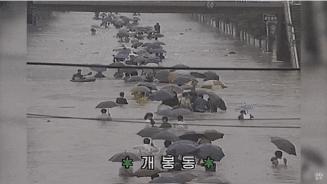 과거 장마철 홍수를 뚫고 출근하는 모습gif