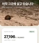 캣맘 생각보다 허접이었네