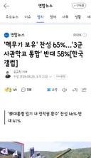 핵무기 보유' 찬성 65%…'3군 사관학교 통합' 반대 58%