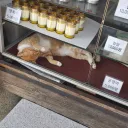 공양미 5,000원...