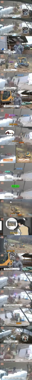 시골 농촌 고등학생 도둑질 클라쓰