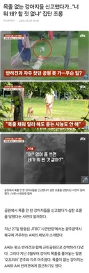 목줄 없는 강아지들 신고했다가너 뭐 돼 할 짓