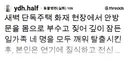 화재현장에서 사람가족들 구하고 무지개다리 건넌 강아지