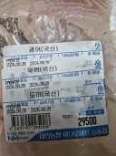 이새끼 정체가 뭐야?