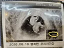 제로 키우기 시작한 거부터가 운명이었나