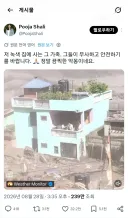 네팔 대홍수 한복판에 있던 어느 녹색 집의 기적