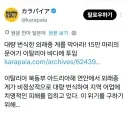 이탈리아 꽃게에 대한 일본반응