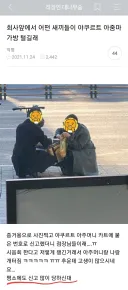 괘씸한 놈들 감히 야구르트 아줌마 가방을 털어?