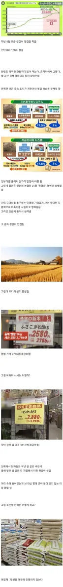 얼마전까지 쌀값 폭등이었던 일본 근황