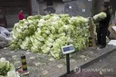 中 또 '먹거리 걱정'…이번엔 포름알데히드 배추