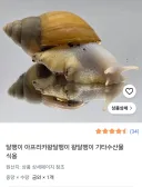 식용 달팽이 판매점 근황