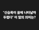 문조털래유 외치며 비방•조롱, 허위사실 유포하며 돈벌이 해 온 악당 유튜버들 사냥도 시작합니다