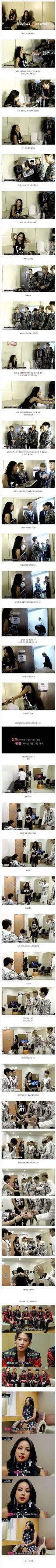 이효리 선배에게 재롱떠는 원로 아이돌 신화.jpg