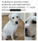 마르크스 닭집에서 발견 된 램프의 요정