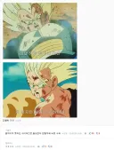베지터: 아 ㅅㅂ ㅈ됐다