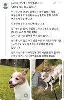 여자친구와의 결혼을 위해 5년 키운 강아지 파양합니다