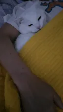 속보) 루리웹 서비스 종료