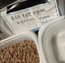 캣맘(?) 근황