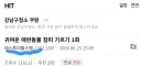 한국 인터넷에 참피가져온 사람 정체