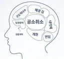 이잼의 뇌 구조