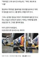 박위 영상 파묘