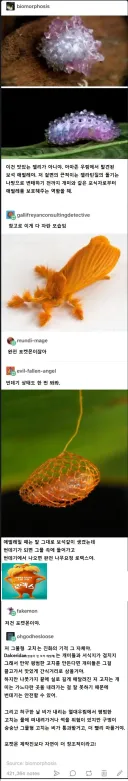 마치 포켓몬 같은 현실 곤충.jpg