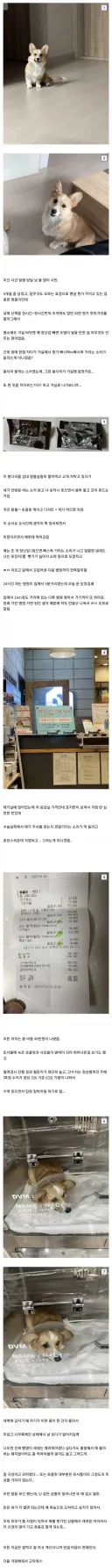 49만원 짜리 몽쉘