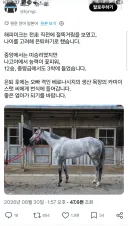 말딸,경마) 해피 미크 은퇴